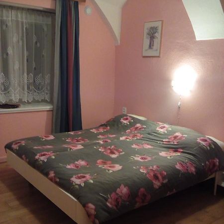 Country House U Potoka Pension Božanov Buitenkant foto
