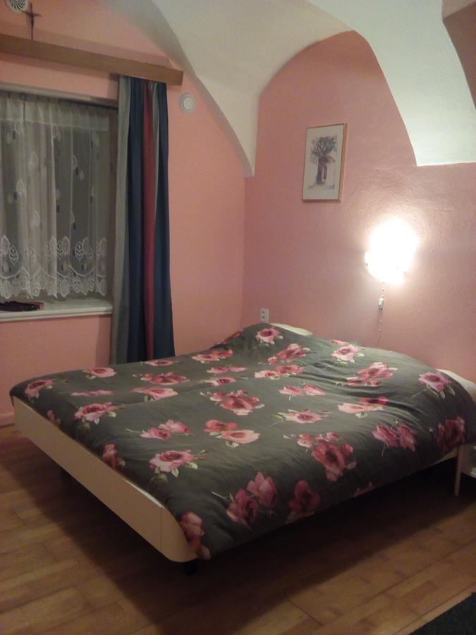 Country House U Potoka Pension Božanov Buitenkant foto